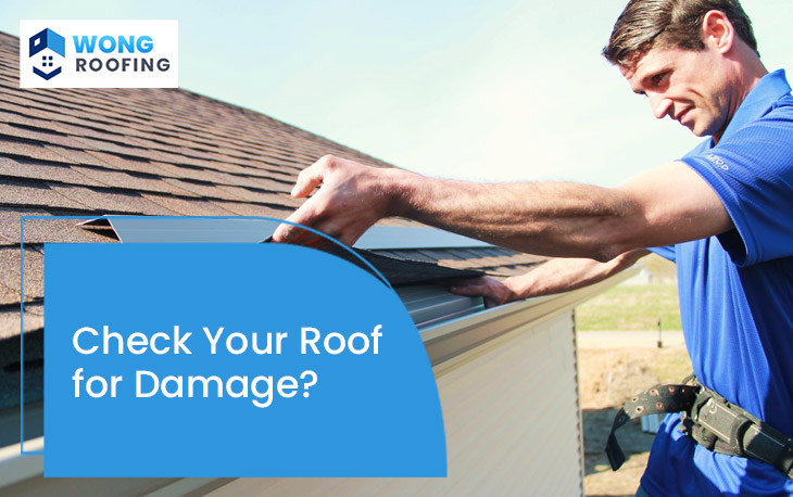 Check Your Roof for Damage