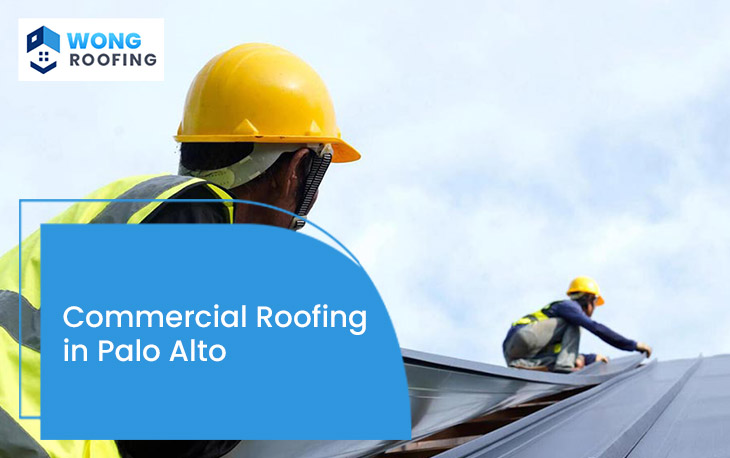 Commercial Roofing In Palo Alto